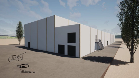 Eng Fugl Borgeskogen