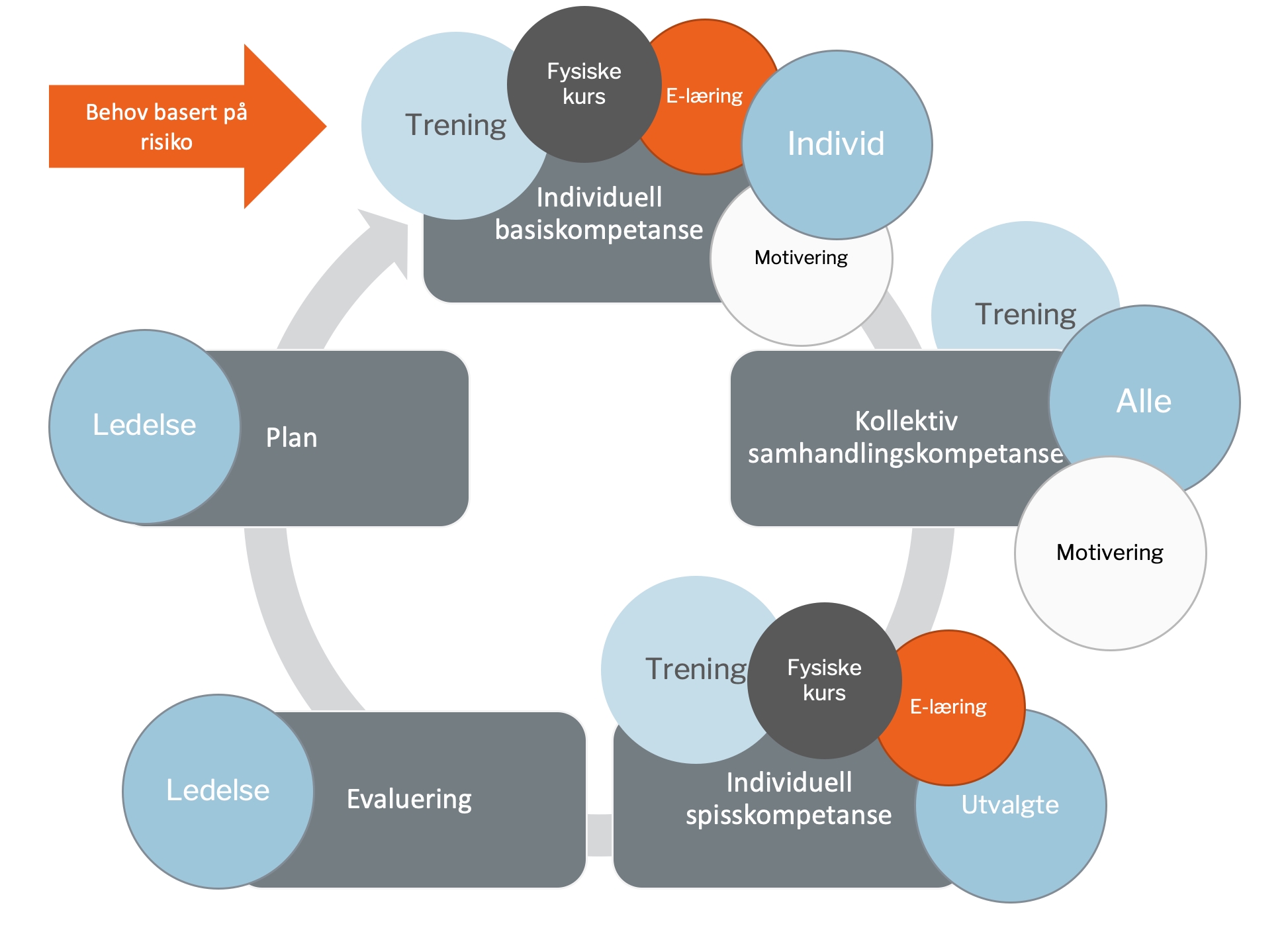Syklus for systematikk