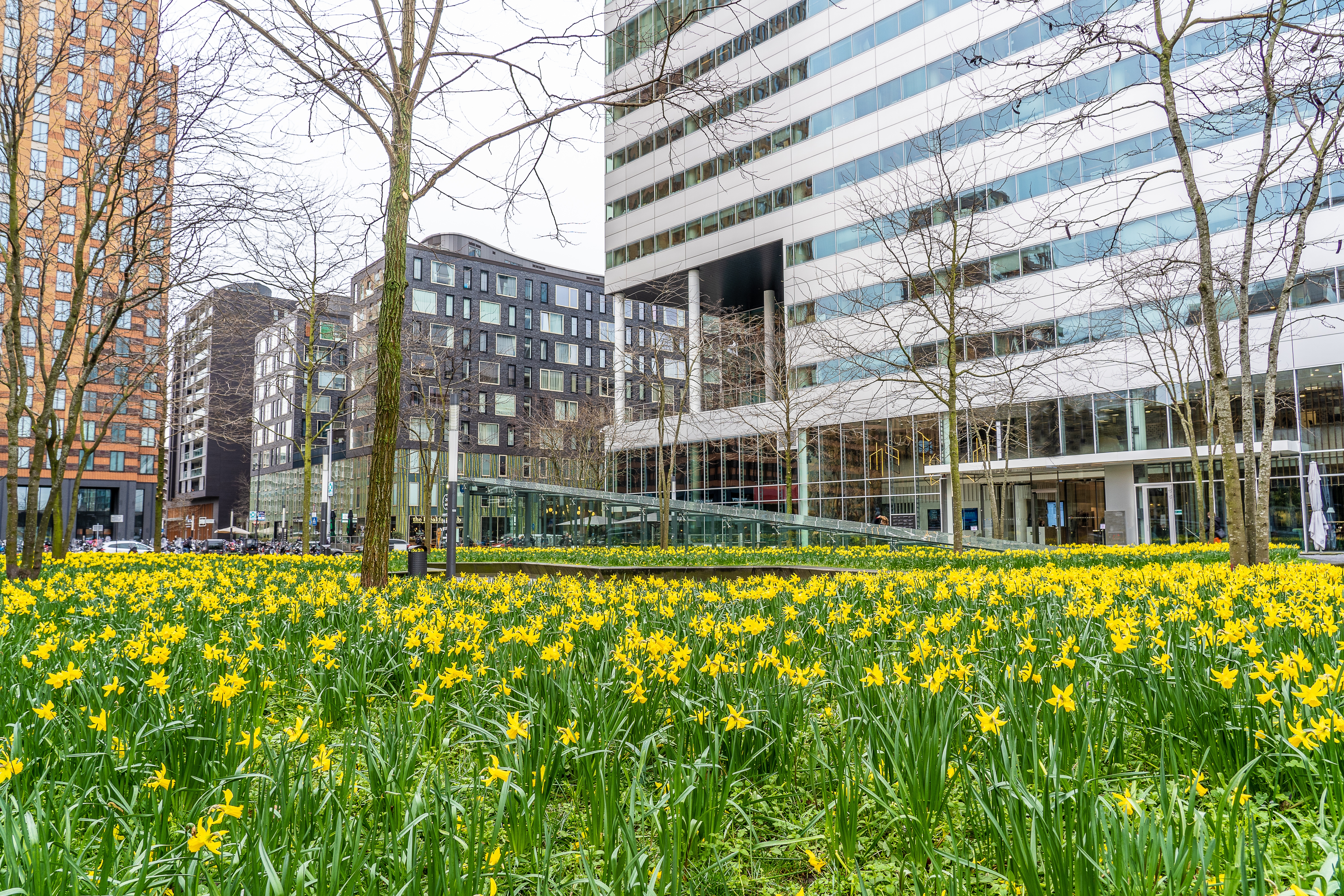 Fire safety concept in condominiums and housing associations