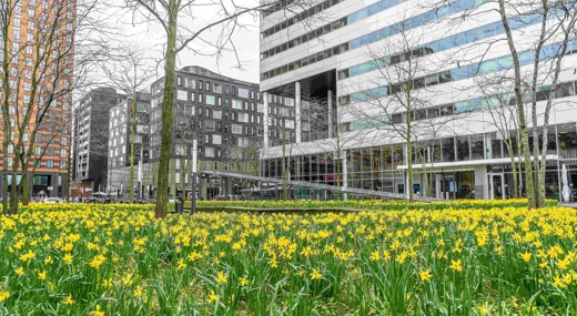 Fire safety concept in condominiums and housing associations