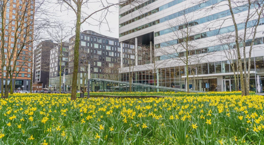 Fire safety concept in condominiums and housing associations